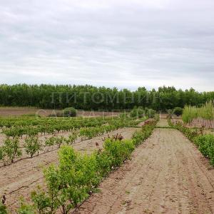 Поля и производство в Тульском отделении