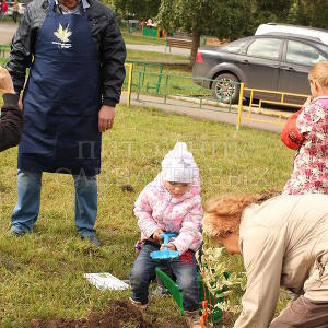 Сделаем Москву Парком