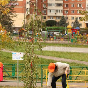 Сделаем Москву Парком