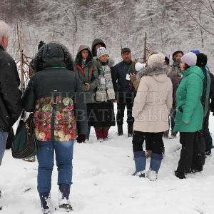 День открытых дверей в Питомнике Савватеевых 15-16 ноября