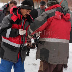 День открытых дверей в Питомнике Савватеевых 15-16 ноября