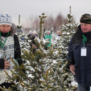 День открытых дверей в Питомнике Савватеевых 15-16 ноября