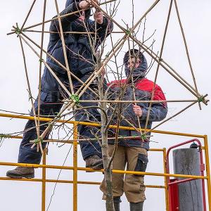 Делаем формованные растения в Тульском отделении "Питомника Савватеевых" 28 марта 2017г.