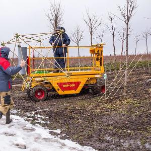 Делаем формованные растения в Тульском отделении "Питомника Савватеевых" 28 марта 2017г.