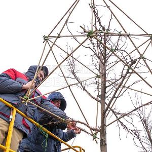 Делаем формованные растения в Тульском отделении "Питомника Савватеевых" 28 марта 2017г.