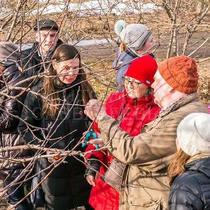 Семинар по обрезке декоративных деревьев 2 апреля 2017г.