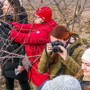 Семинар по обрезке декоративных деревьев 2 апреля 2017г.