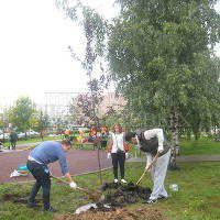 В Москве в день города посадили более 500 деревьев