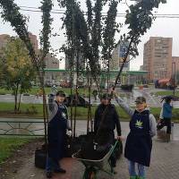 В Москве в день города посадили более 500 деревьев