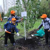 В Москве в день города посадили более 500 деревьев