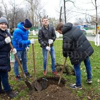 Школьники городского лицея готовят посадочные ямы.