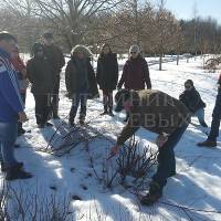 В питомнике состоялся первый семинар для садоводов-любителей