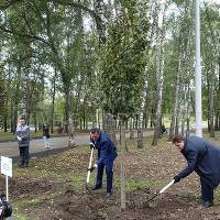 В Тульской области дан старт экологической акции "Кислород городам!"