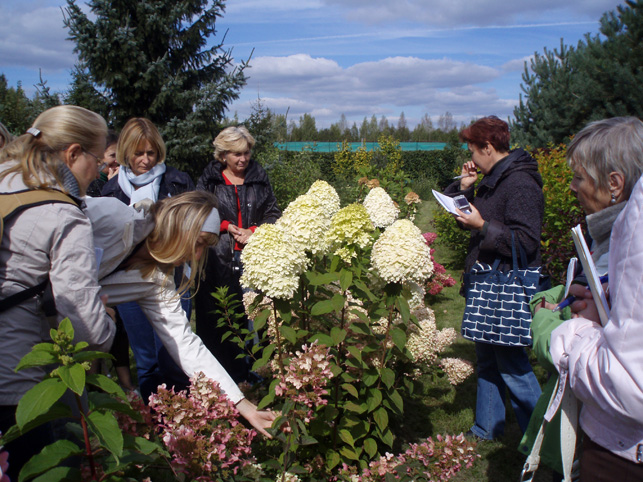 Клуб 'Калитка' 8 сентября 2010