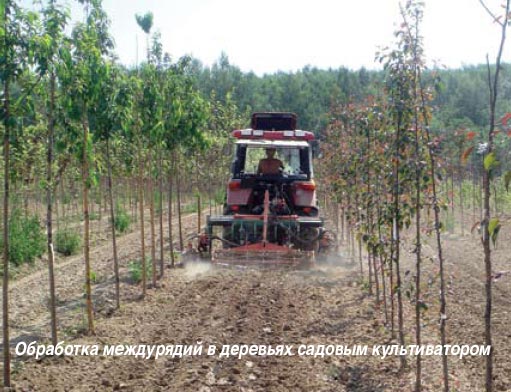 Сколько стоит качество